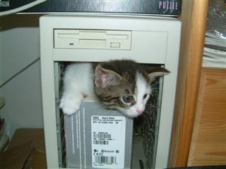 Image result for hello world